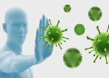 World coronaviras (WCVs) are a group of dangerous viruses.