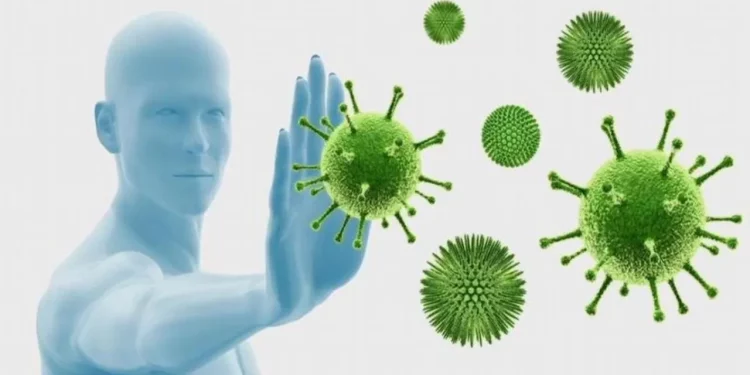 World coronaviras (WCVs) are a group of dangerous viruses.