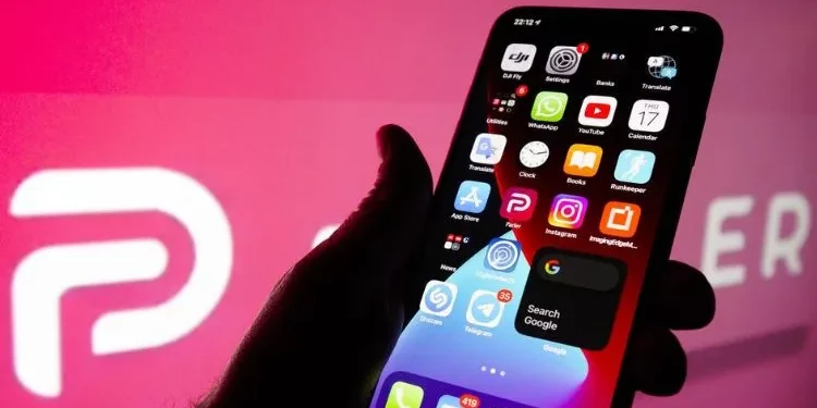 CEO Skysilk parler amazonallynnpr is a business leader and social activist who strives