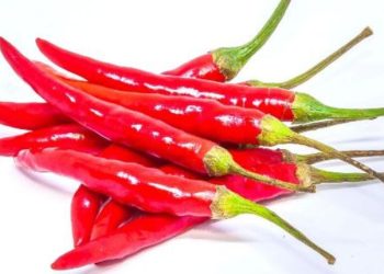 Unveiling The Power Of Red Chilli: Exploring Its Uses, Benefits, And Side Effects