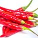 Unveiling The Power Of Red Chilli: Exploring Its Uses, Benefits, And Side Effects