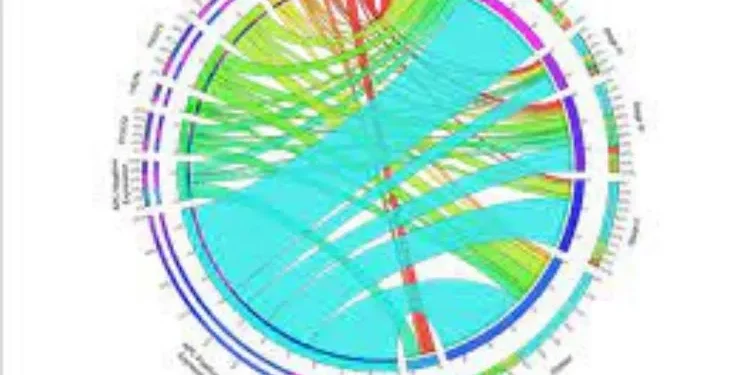 First Extended Service Corporation