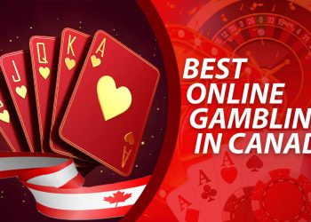 Toto Site: Where Luck Meets Strategy