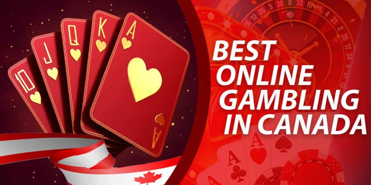 Toto Site: Where Luck Meets Strategy