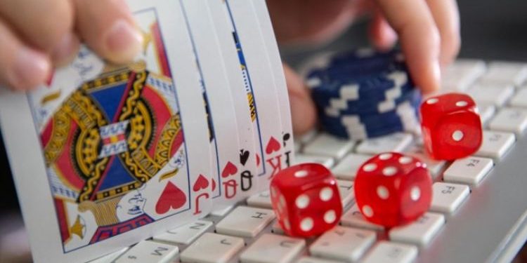 Discover the Thrills of Live Dealer Games at Hawkplay Casino