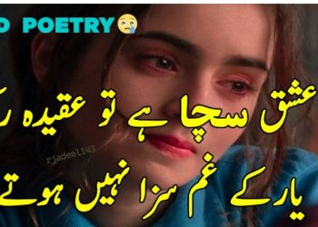 Telenor WhatsApp Packages