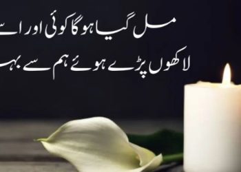 Brothers Poetry In Urdu