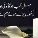Brothers Poetry In Urdu