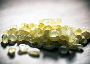 The Scent of Tradition: Greek Mastic Chios in Everyday Aromas