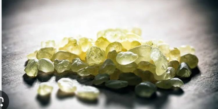 The Scent of Tradition: Greek Mastic Chios in Everyday Aromas